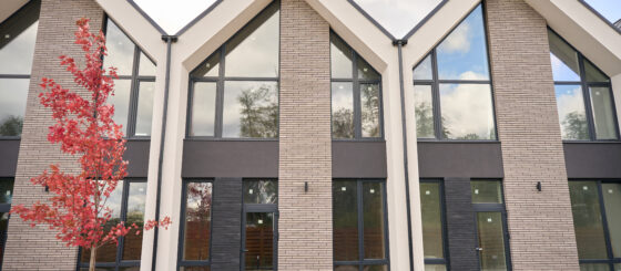 Fronts Of Modern Houses Lined Up To Each Other