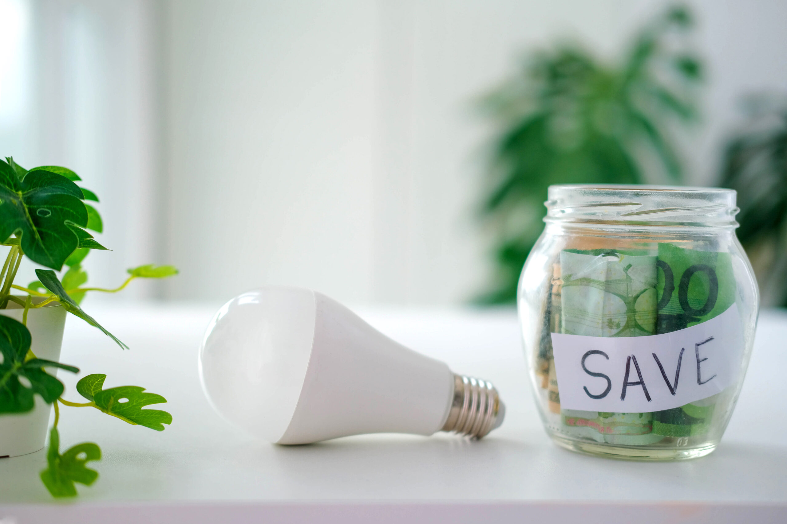 Saving Energy And Money Concept. Led Lamp And Piggy Bank With Eu